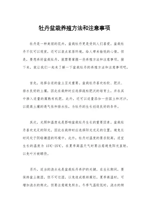牡丹盆栽养殖方法和注意事项