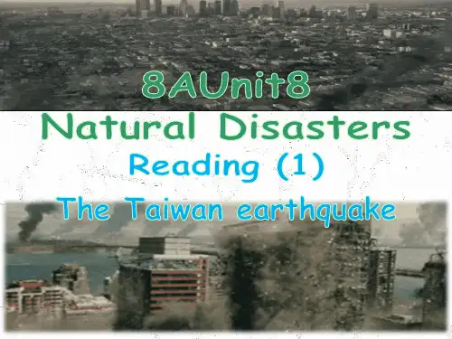 牛津译林版英语八年级上册 Unit8 Reading1课件
