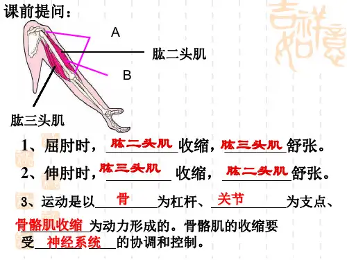 16.1先天性行为和后天学习行为1