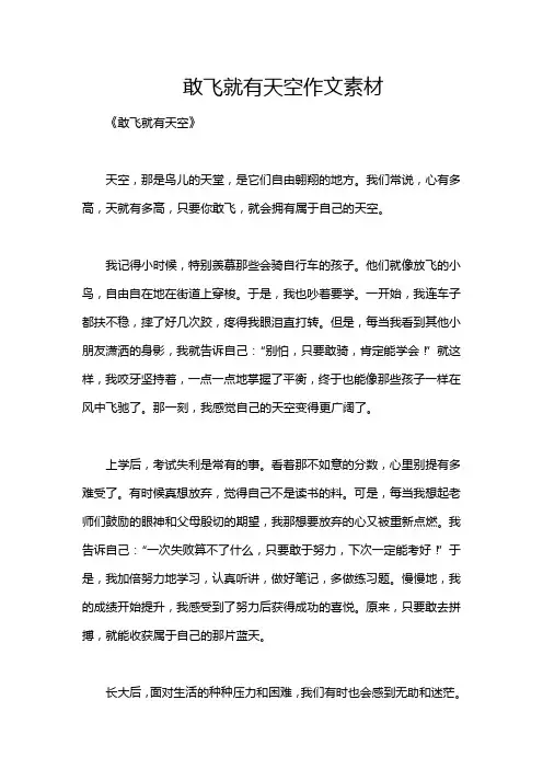 敢飞就有天空作文素材