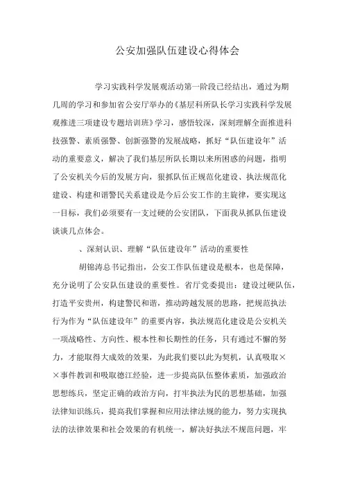 公安加强队伍建设心得体会