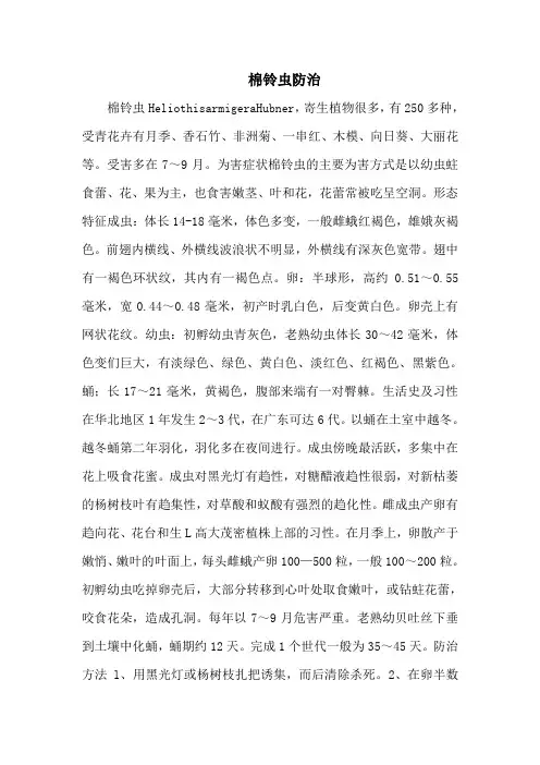 棉铃虫防治