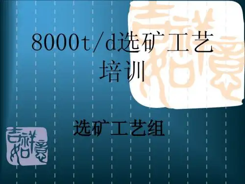 8000t╱d 选矿厂选矿工艺培训教材