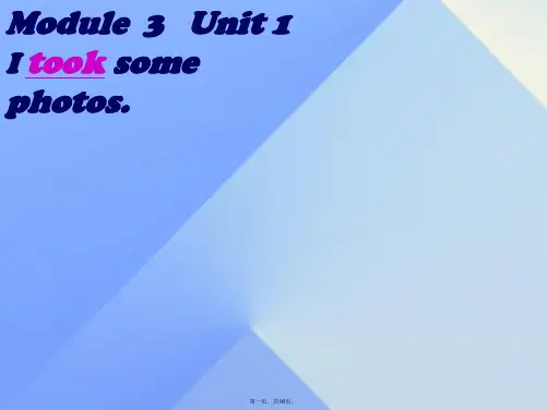 六年级英语下册Module3Unit1《Itooksomephotos》课件4(新版)外研版(一起)