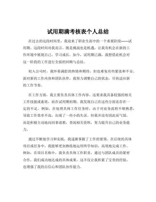 试用期满考核表个人总结