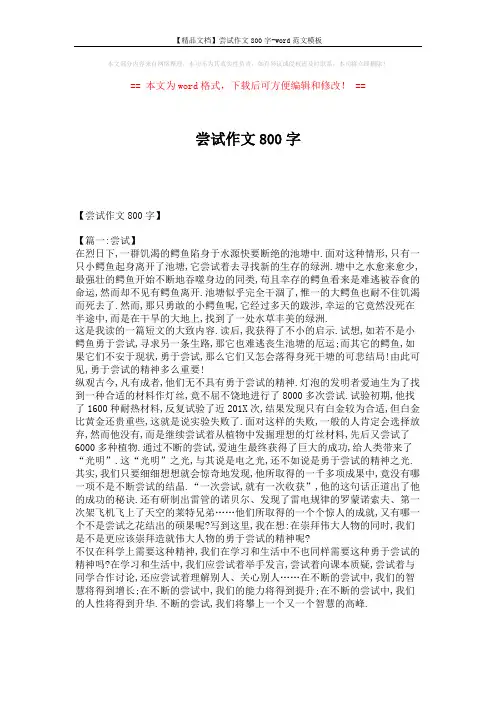 【精品文档】尝试作文800字-word范文模板 (5页)