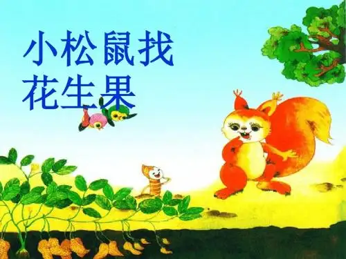 《小松鼠找花生果》ppt实用课件5