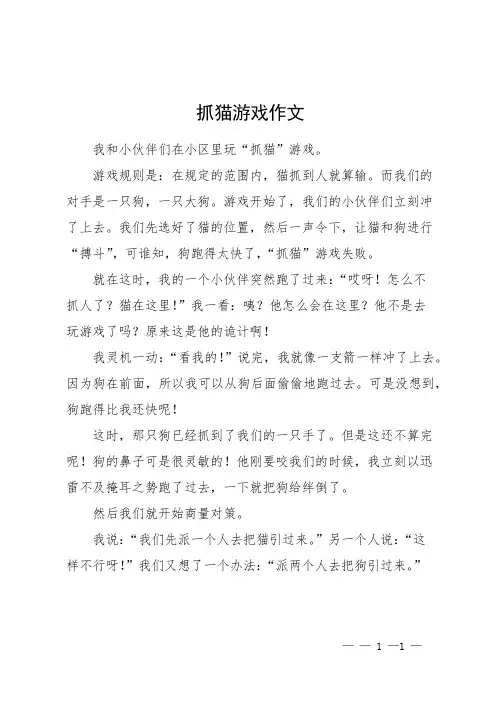 抓猫游戏作文