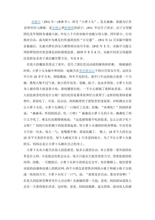 小萝卜头