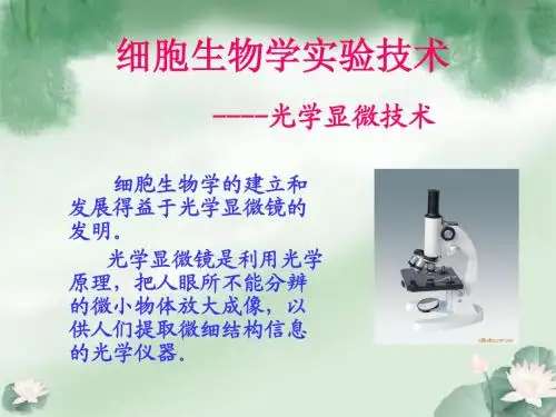 光学显微技术