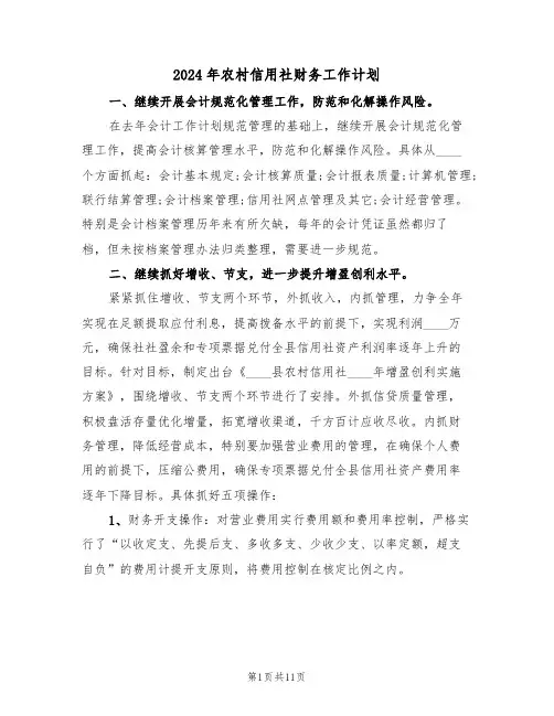 2024年农村信用社财务工作计划(四篇)