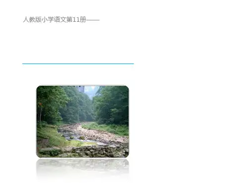 人教版语文六年级上册《1.山中访友》课件