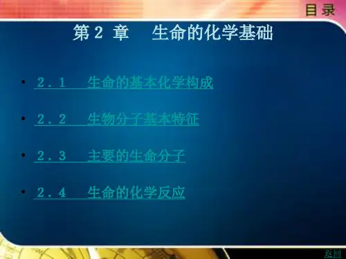 生命的化学基础