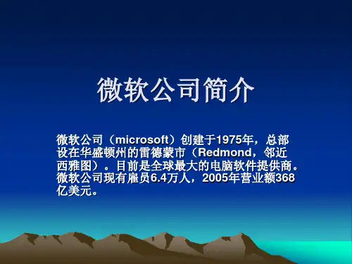 微软公司简介