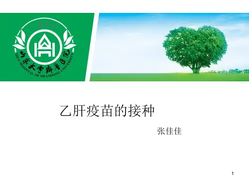 乙肝疫苗PPT课件