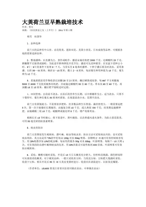 大荚荷兰豆早熟栽培技术