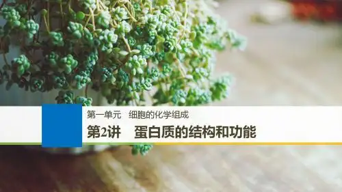 2019届高三一轮复习备考生物苏教专版一体资料课件：第一单元+第2讲+蛋白质的结构和功能+【KS5U+高考】