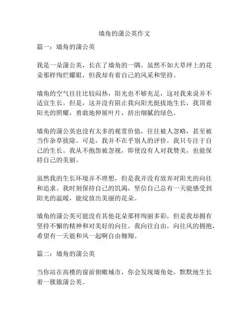 墙角的蒲公英作文