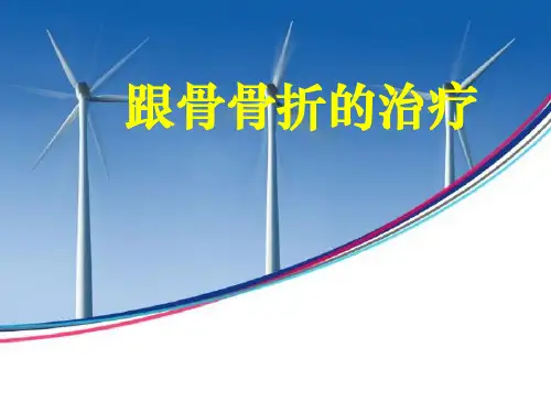 跟骨骨折  ppt课件