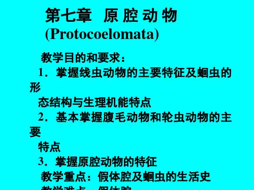 第七章原腔动物门