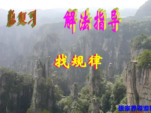 初中数学找规律问题PPT