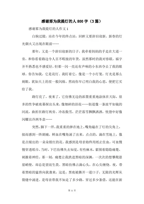 感谢那为我提灯的人800字(3篇)