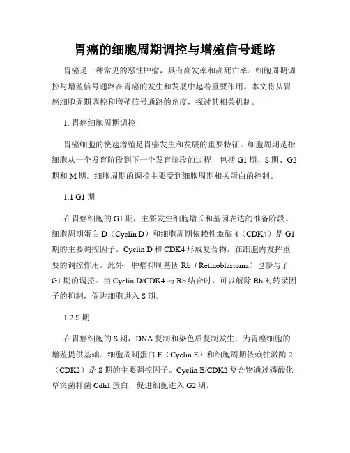 胃癌的细胞周期调控与增殖信号通路