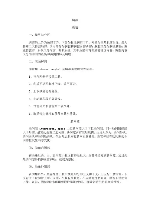 胸部局部解剖学
