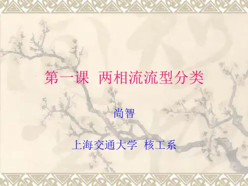 第二章(第一次课)  两相流动流型