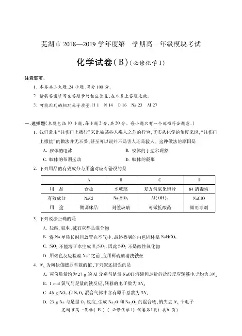 芜湖市2018-2019学年第一学期期末考试高一化学(B)