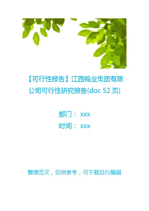 【可行性报告】江西钨业集团有限公司可行性研究报告(doc 52页)