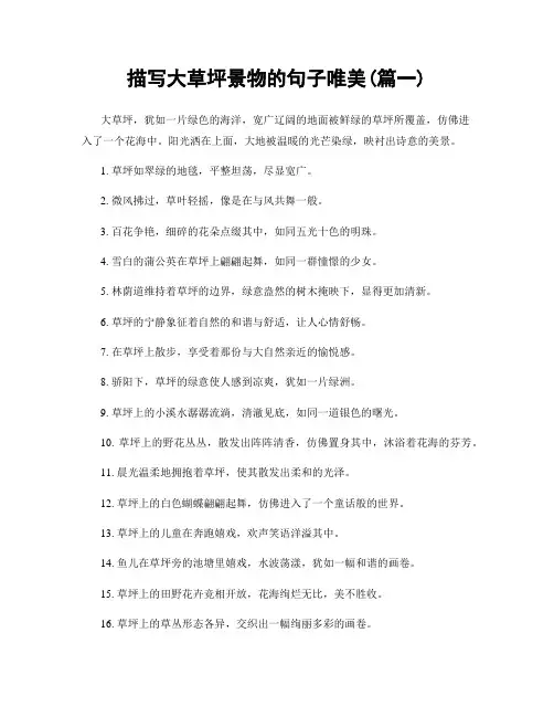 描写大草坪景物的句子唯美(精选两篇)