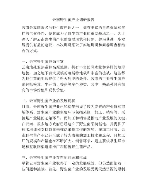 云南野生菌产业调研报告