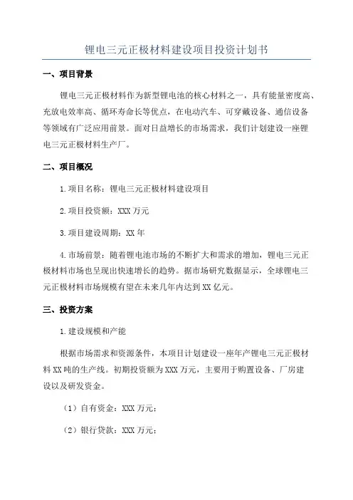锂电三元正极材料建设项目投资计划书