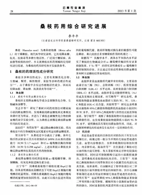 桑枝药用综合研究进展