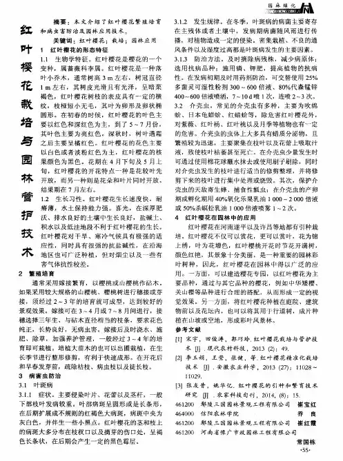红叶樱花栽培与园林管护技术
