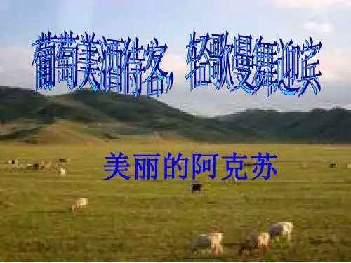 阿克苏