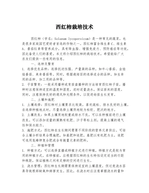 西红柿栽培技术