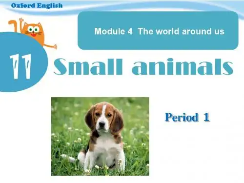 牛津英语三年级上unit11Small animals Period 1