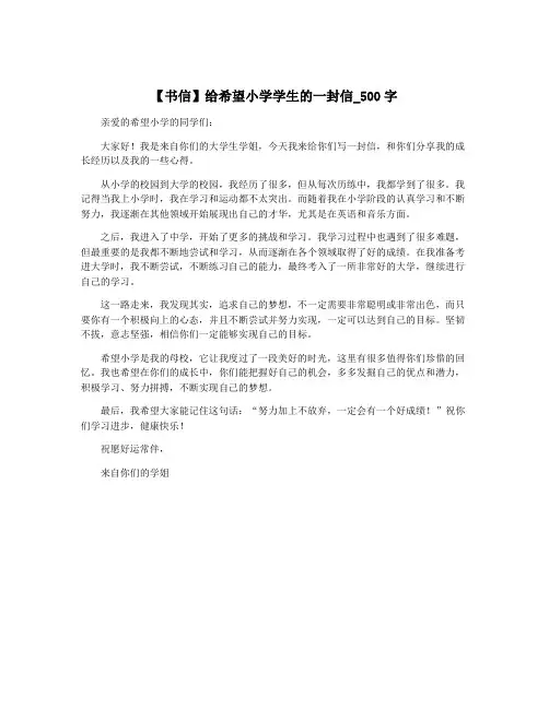 【书信】给希望小学学生的一封信_500字 2