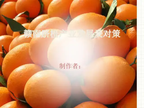 发展战略-赣南脐橙产业发展及对策概述(PPT33页)