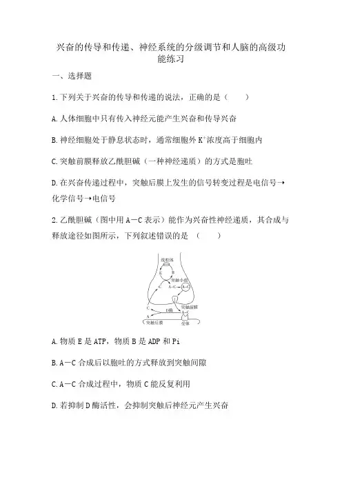 高中生物一轮复习练习兴奋的传导和传递神经系统的分级调节和人脑的高级功能(2)