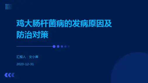 鸡大肠杆菌病的发病原因及防治对策