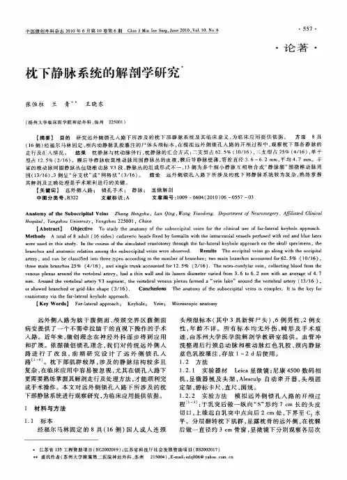 枕下静脉系统的解剖学研究