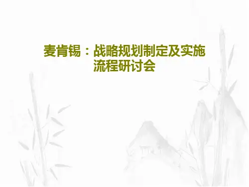 麦肯锡：战略规划制定及实施流程研讨会77页PPT