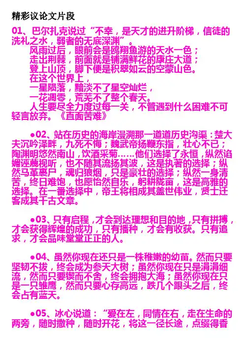 精彩议论文片段