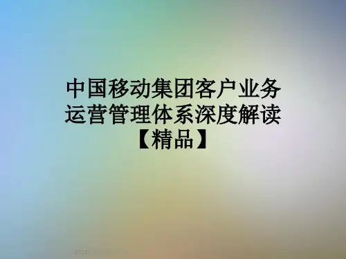 中国移动集团客户业务运营管理体系深度解读【精品】
