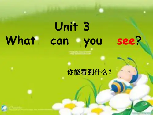 湘少版四年级下册英语Unit3_What_can_you_see