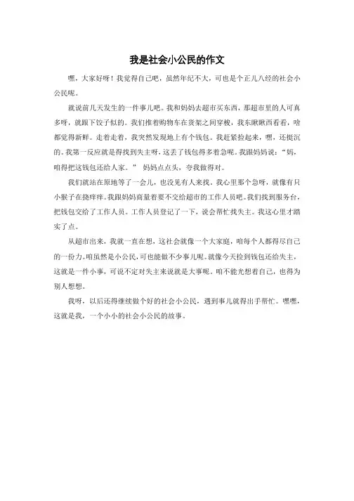 我是社会小公民的作文