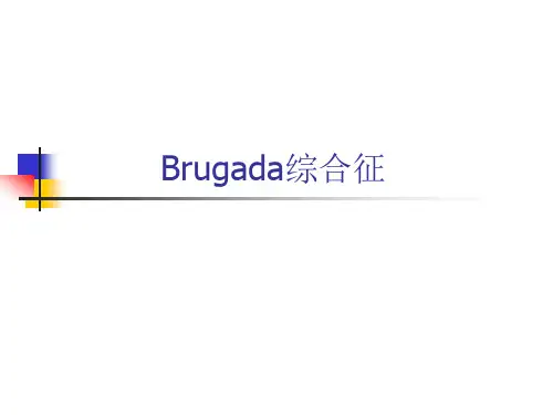 brugada综合征 PPT课件